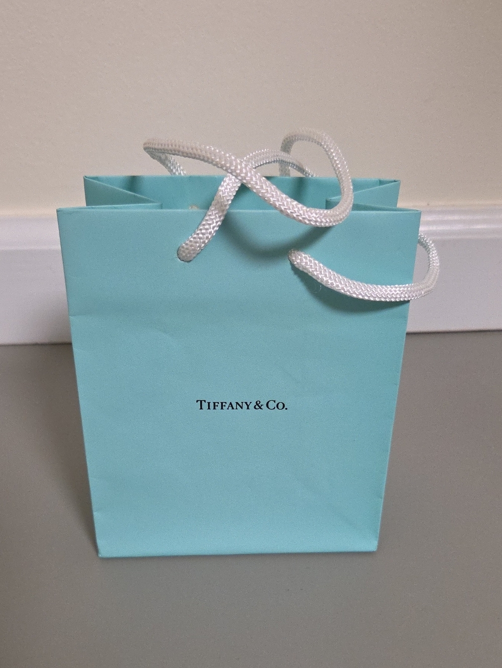 Tiffany & Co. Small Shopping Bag